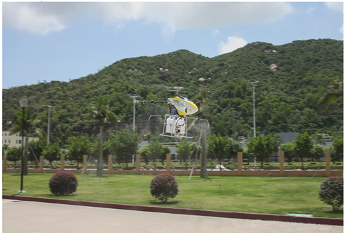 北京滅蟲(chóng)
