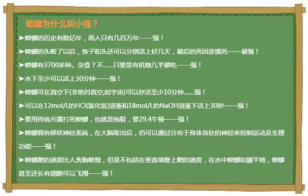 【滅蟲公司】東方漢諾—北京快訊