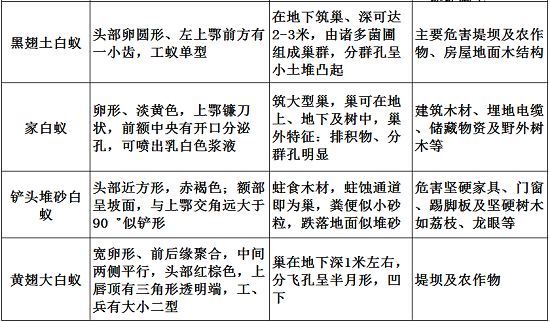 【滅白蟻公司】東方漢諾—北京快訊