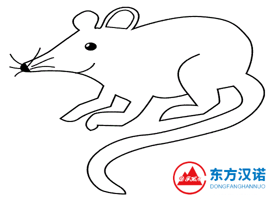 老鼠名片：小家鼠——有人居住的地方，都有它的蹤跡