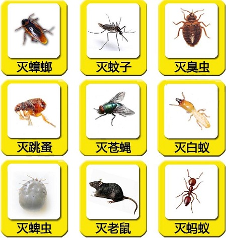【消殺公司】東方漢諾—北京快訊