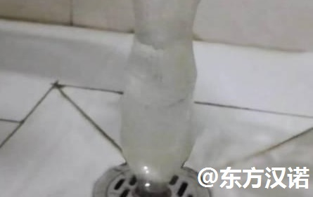 【衛(wèi)生間有蛾蚋？滅蟲公司教你一招殲滅煩人的小飛蟲！—北京專業(yè)滅鼠公司東方漢諾】