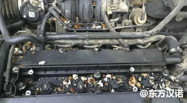 【滅鼠公司，你家愛車的發(fā)動機(jī)艙有老鼠怎么辦？—北京專業(yè)滅鼠公司東方漢諾】