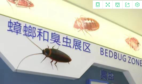 老鼠、蚊子、蒼蠅、蟑螂…這個(gè)博物館的展品，好像有些不一樣-東方漢諾-北京快訊