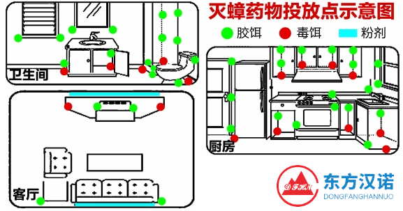 小強夾縫中求生存，應(yīng)怎么徹底消滅蟑螂？-東方漢諾-北京快訊