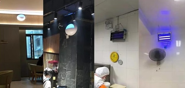 餐館3米高的滅蠅燈，是應(yīng)檢湊數(shù)還是裝飾好看？-東方漢諾-北京快訊