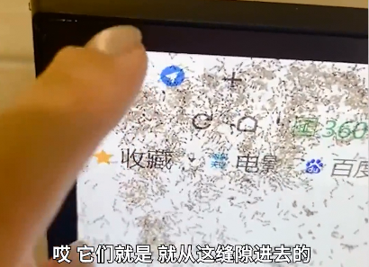 【滅螞蟻公司】東方漢諾—北京快訊