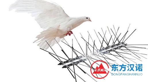 防鳥刺是個啥？有什么作用？-東方漢諾消殺公司-北京快訊